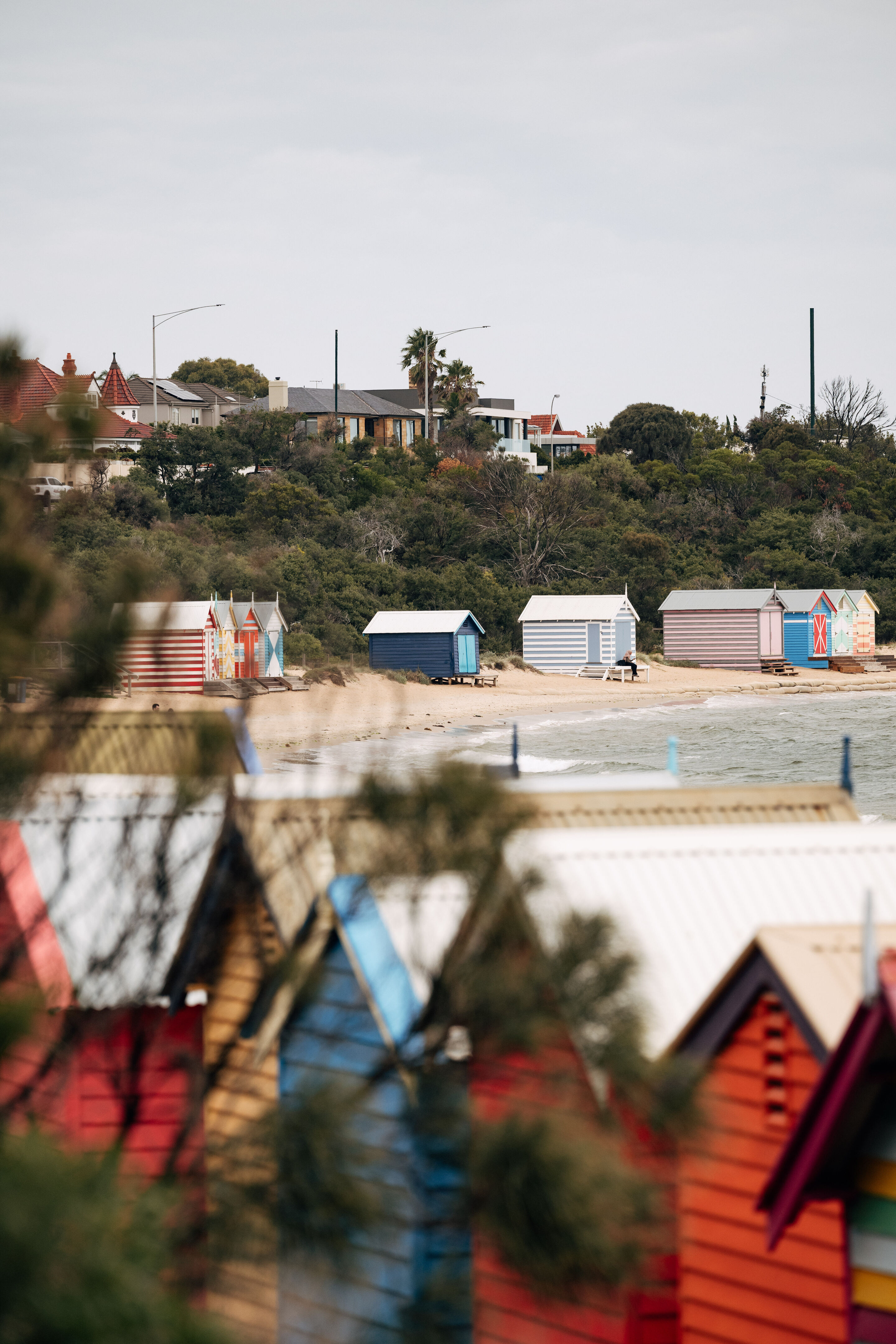 2026 Australian Grand Prix - The Editor's Selection - 2026 Australian Grand Prix - The Editor's Selection