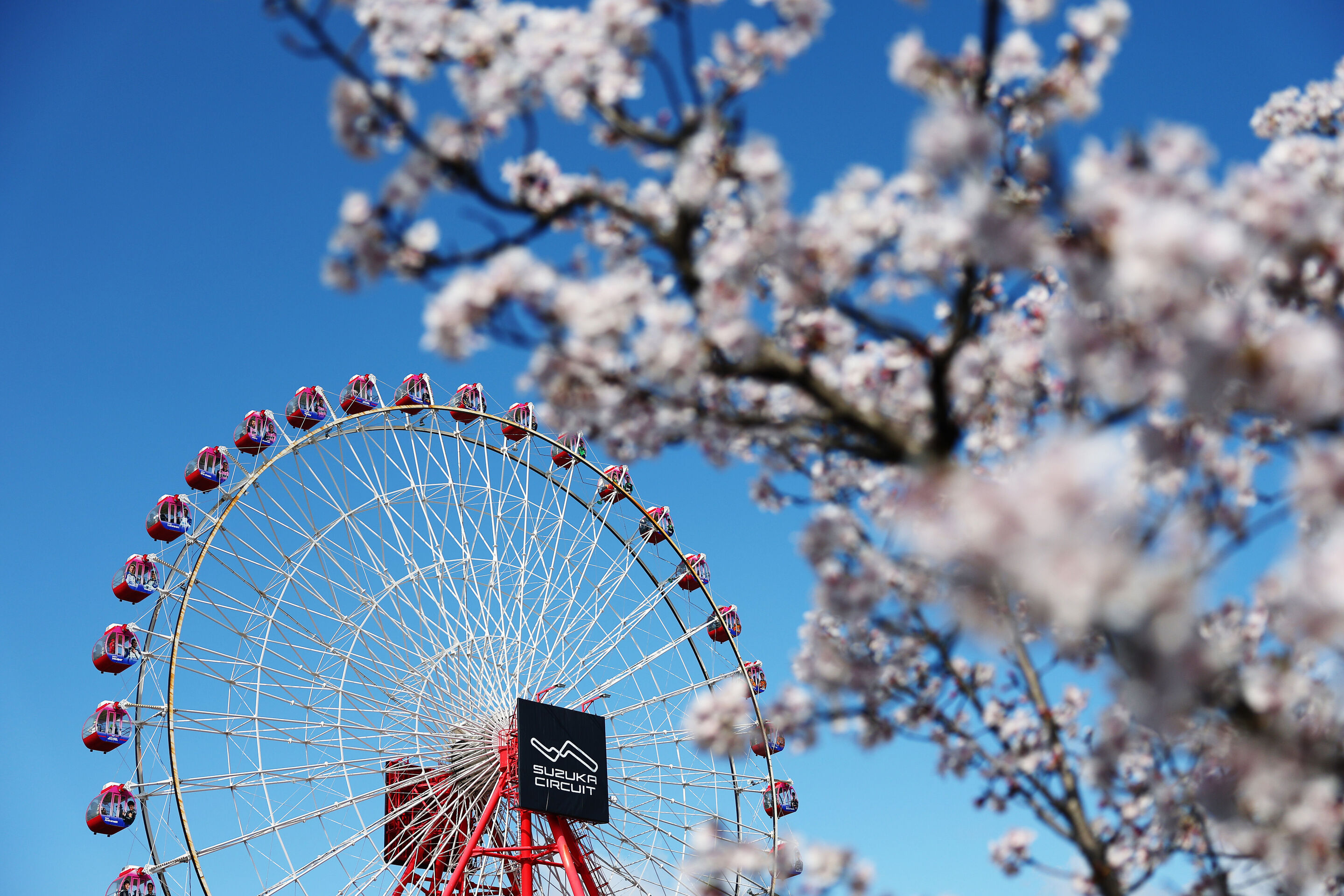 2208394084 - SUZUKA, JAPAN - APRIL 04: The circuit Ferris wheel and cherry blossom prior to practice ahead of the F1 Grand Prix of Japan at Suzuka Circuit on April 04, 2025 in Suzuka, Japan. (Photo by Clive Rose/Getty Images)
