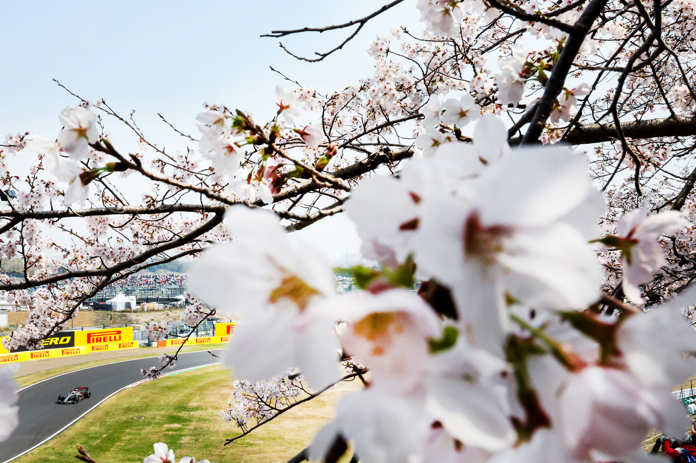 2026 Japanese Grand Prix - Saturday - 2026 Japanese Grand Prix - Saturday