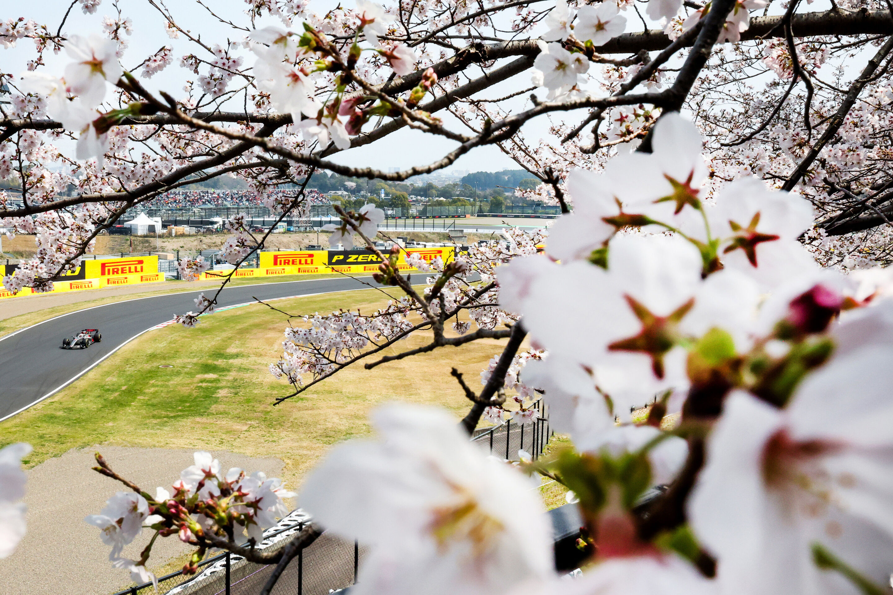 2026 Japanese Grand Prix - Saturday - 2026 Japanese Grand Prix - Saturday